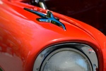 dsc_0972.jpg